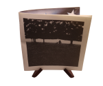 Ringo Starr - Ringo met boek