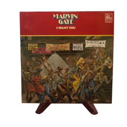 Marvin Gaye - I Want You