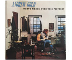 Andrew Gold - What's Wrong With This Picture?