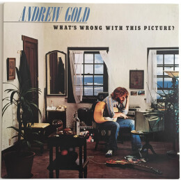 Andrew Gold - What's Wrong With This Picture?