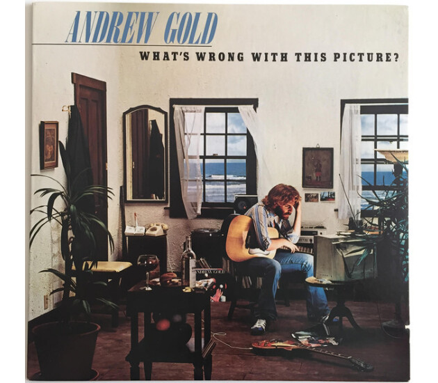 Andrew Gold - What's Wrong With This Picture?