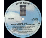 Andrew Gold - What's Wrong With This Picture?
