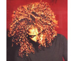 Janet Jackson - The Velvet Rope