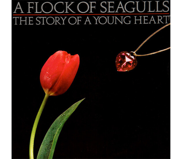 A Flock Of Seagulls - The Story Of A Young Heart