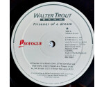 Walter Trout Band - Prisoner Of A Dream