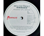 Walter Trout Band - Prisoner Of A Dream