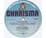 Peter Hammill - The Future Now