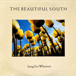 The Beautiful South - Song For Whoever