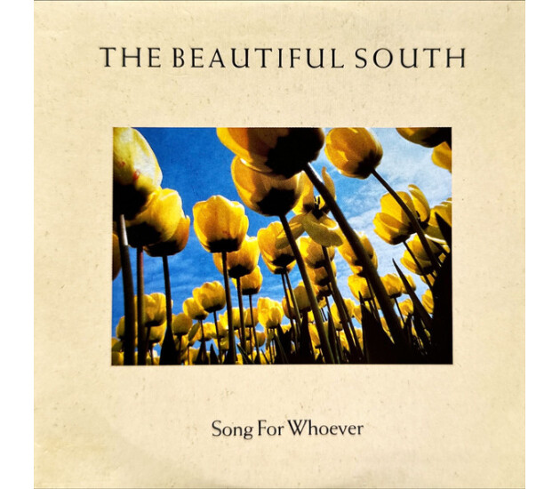 The Beautiful South - Song For Whoever