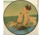 Parliament - Motor Booty Affair (Picture Disc)