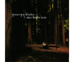 George Duke - Muir Woods Suite