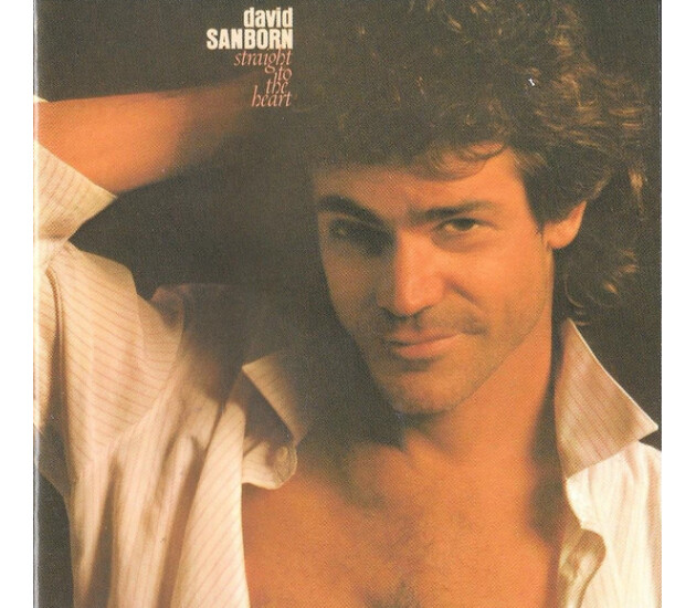 David Sanborn - Straight To The Heart
