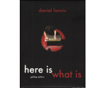 Daniel Lanois - Here Is What Is