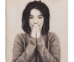 Björk - Debut