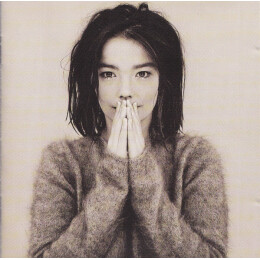 Björk - Debut