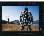 Pink Floyd - Delicate Sound Of Thunder