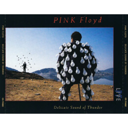 Pink Floyd - Delicate Sound Of Thunder