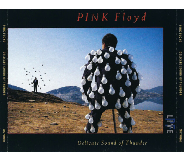 Pink Floyd - Delicate Sound Of Thunder