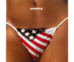 Black Crowes, The - Amorica