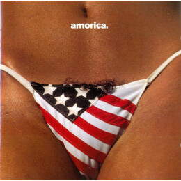 Black Crowes, The - Amorica