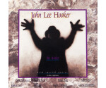 John Lee Hooker - The Healer