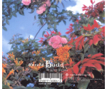 Harold Budd - Avalon Sutra