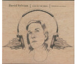 David Sylvian - Died In The Wool | Manafon Variations