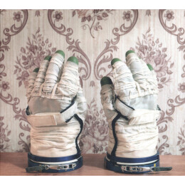 Stephan Mathieu, David Sylvian - Wandermüde