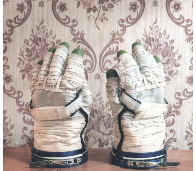 Stephan Mathieu, David Sylvian - Wandermüde