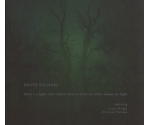 David Sylvian Featuring Franz Wright, Fennesz - There's A Light That Enters Houses With No Other House In Sight