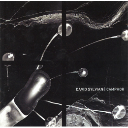 David Sylvian - Camphor