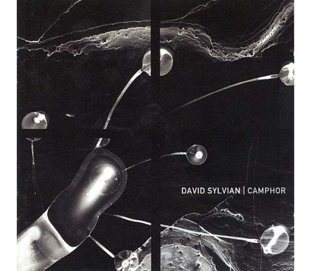 David Sylvian - Camphor