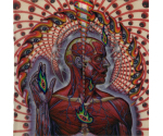 Tool - Lateralus, CD Europe 2001