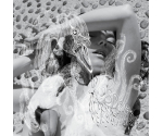 Björk - Vespertine