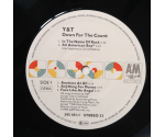 Y & T ‎– Down For The Count (LP, 1985)