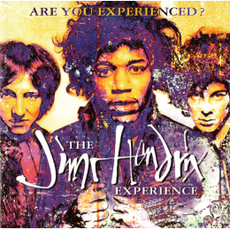 Jimi Hendrix Experience, The - Are You Experienced? (CD, 1993)