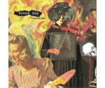 Green Day - Insomniac (CD, 1995)