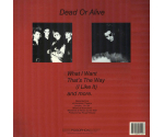 Dead Or Alive ‎– Alive! (LP, 1985)