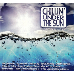 Various / Carlos Campos - Chillin' Under The Sun (CD, 2014)