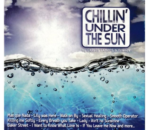 Various / Carlos Campos - Chillin' Under The Sun (CD, 2014)