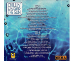 Various / Carlos Campos - Chillin' Under The Sun (CD, 2014)