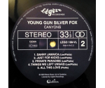 Young Gun Silver Fox – Canyons (LP, 2020)