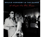 Bruce Hornsby And The Range - A Night On The Town (CD, 1990)