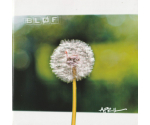Bløf - April (Pickering Sessies Deel 2) (CD, 2009)