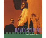 David Sylvian & Robert Fripp - The First Day (CD, 1993)