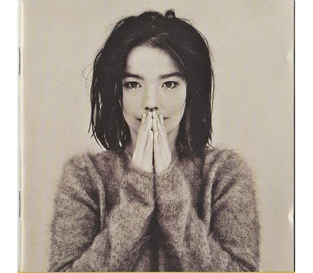Björk - Debut (CD, 1993)