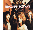 Bon Jovi - These Days (CD, 1995)