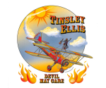 Tinsley Ellis - Devil May Care (CD, 2022)