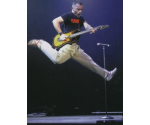 Eros Ramazzotti - Eros Roma Live (DVD)