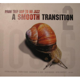 Various - A Smooth Transition - From Trip Hop To Nu Jazz 2 (CD, 2002)